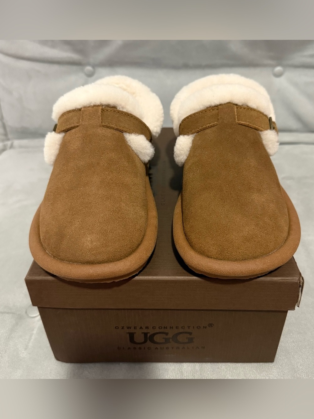 UGG Australia Slip-On Shyra Suede Clog in Chestnut with Cream Shearling
